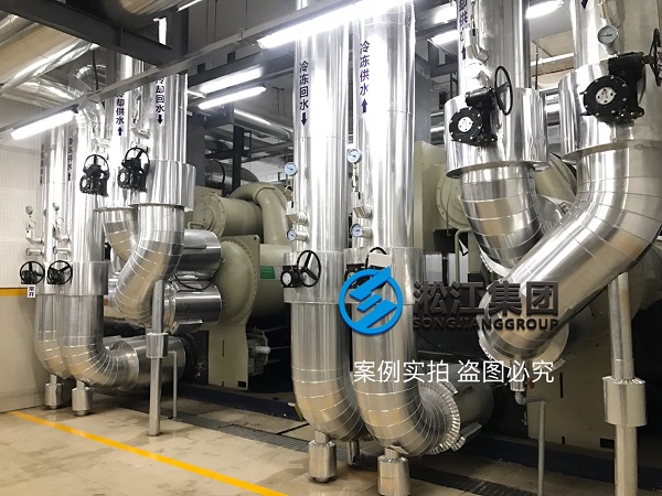 TRANE特靈冷水機(jī)組橡膠接頭現(xiàn)場 TRANE特靈冷水機(jī)組橡膠接頭現(xiàn)場